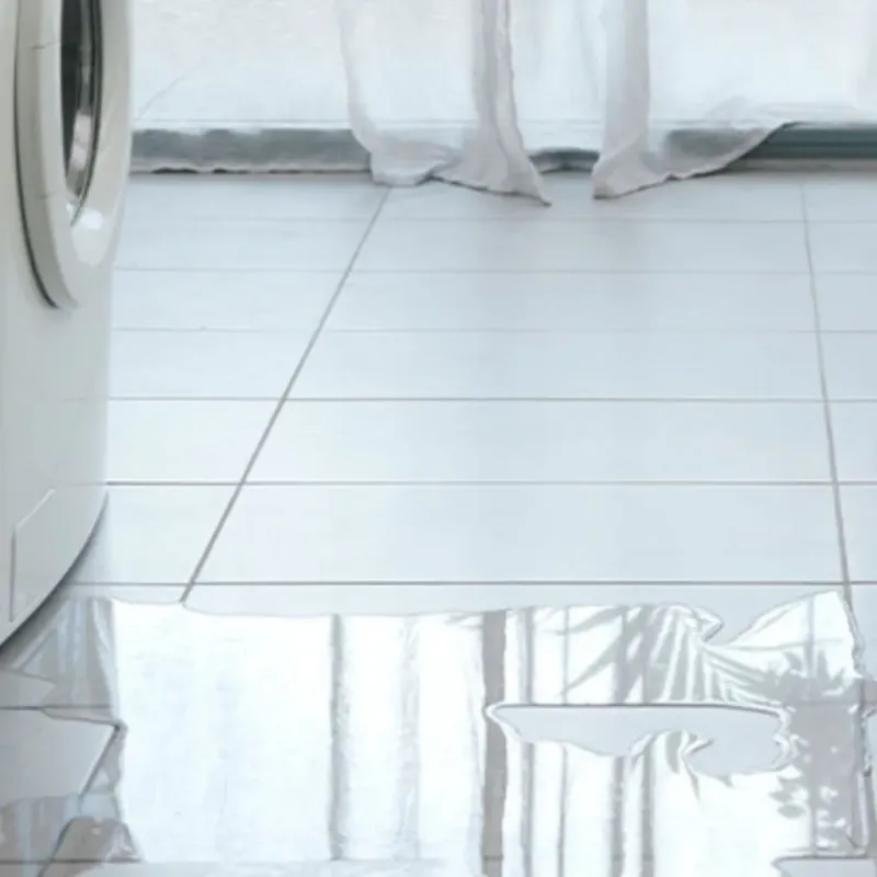 Appliance Leak Cleanup in Lake Forest Park, WA