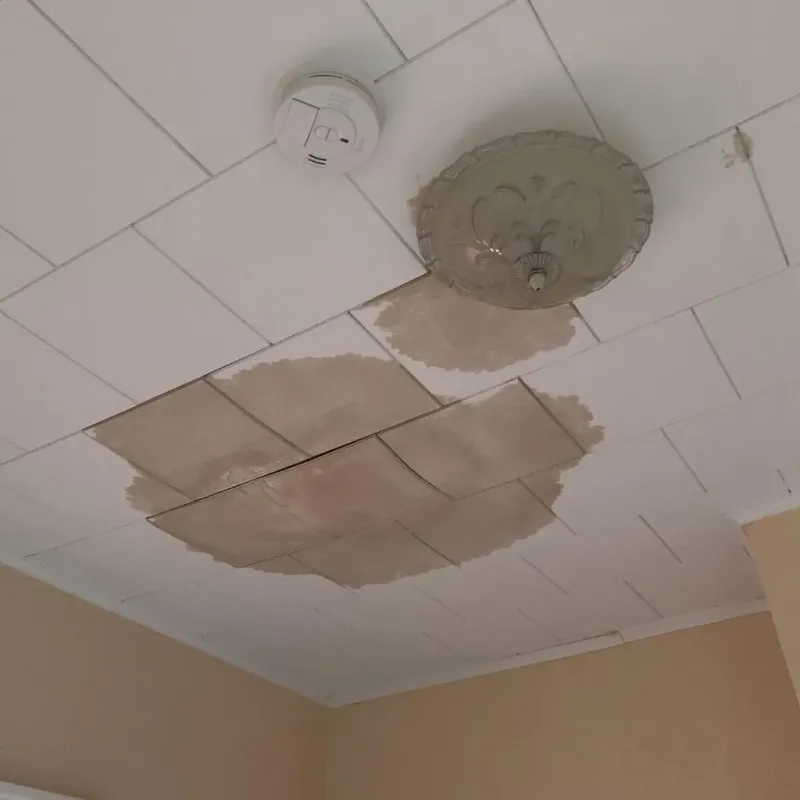 Ceiling Water Damage Repair in Lake Forest Park, WA
